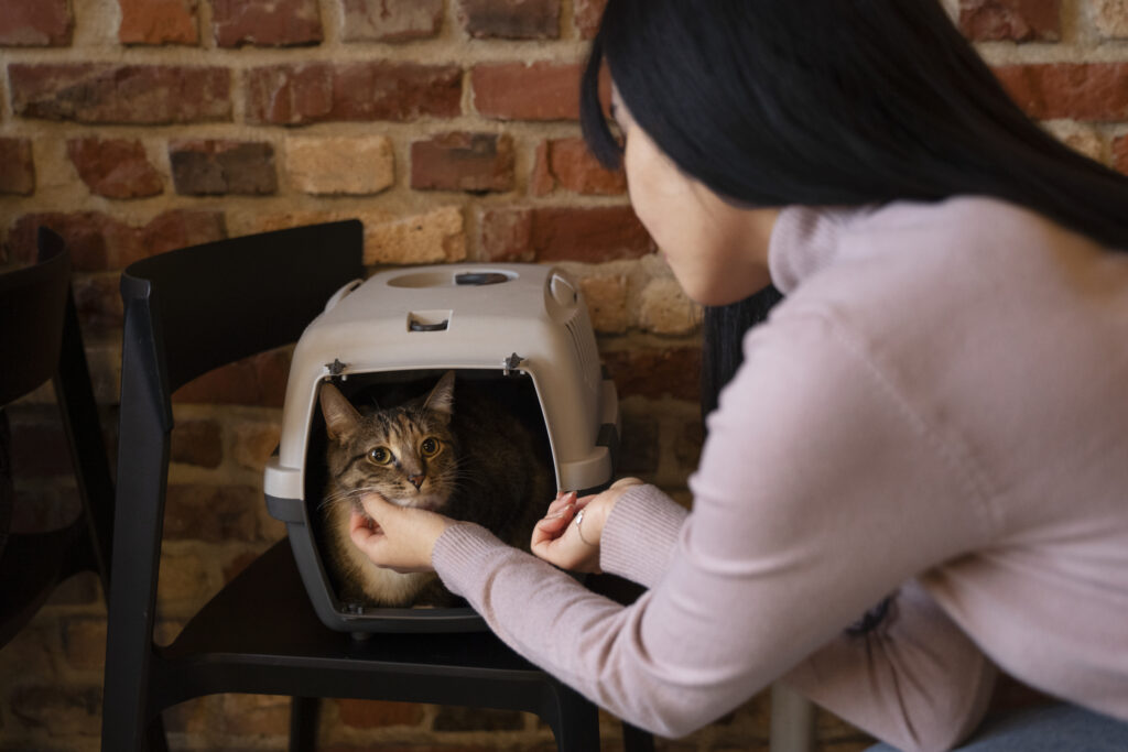 Woman Feeding Her Pet Cat Carrier 1024x683